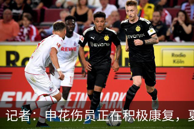 记者：申花伤员正在积极康复，夏窗人员调整工作稳步推进中